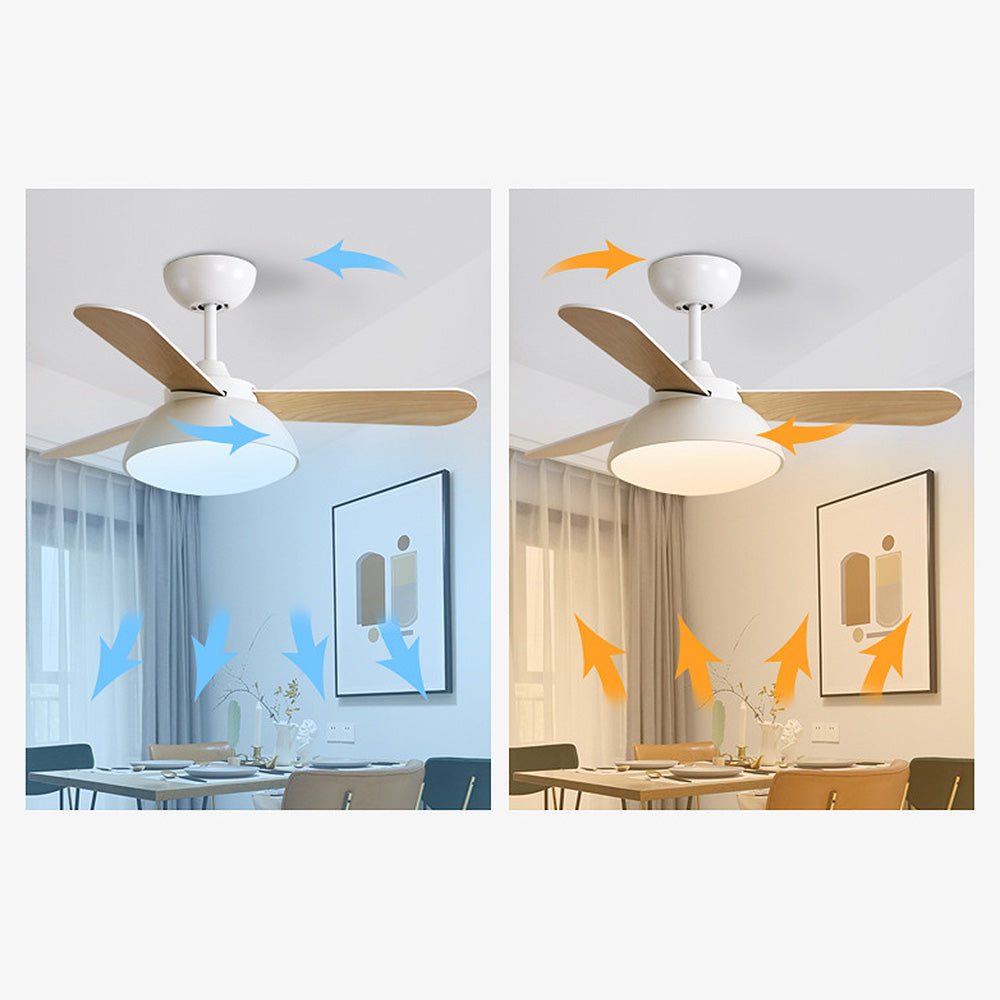 Nordic Modern Simple Flush Ceiling Fan With LED Lighting