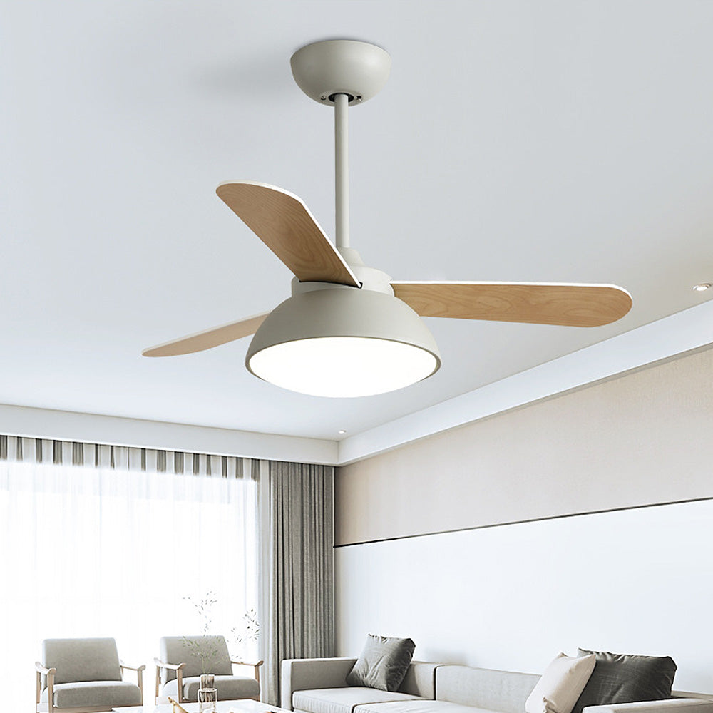 Nordic Modern Simple Flush Ceiling Fan With LED Lighting