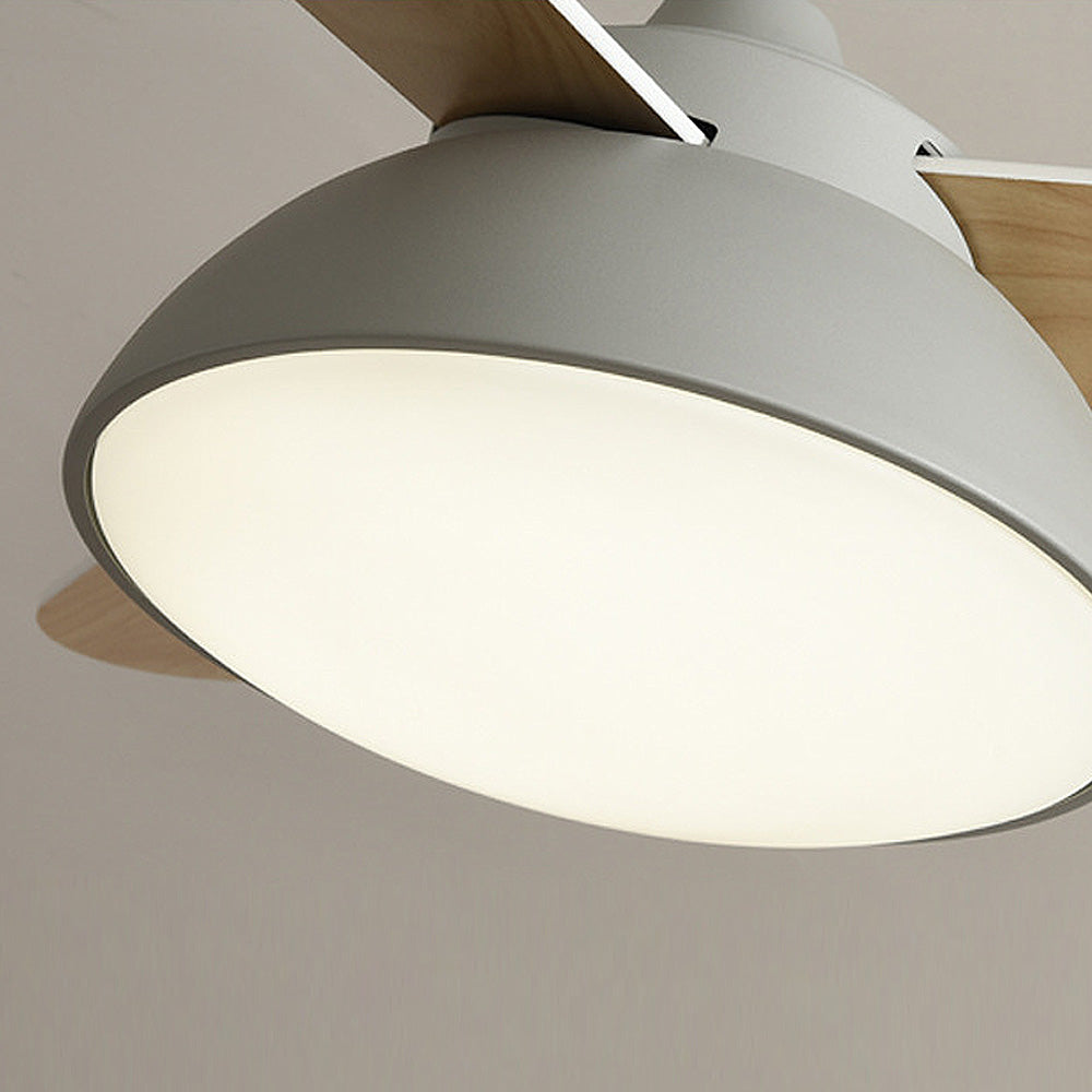 Nordic Modern Simple Flush Ceiling Fan With LED Lighting