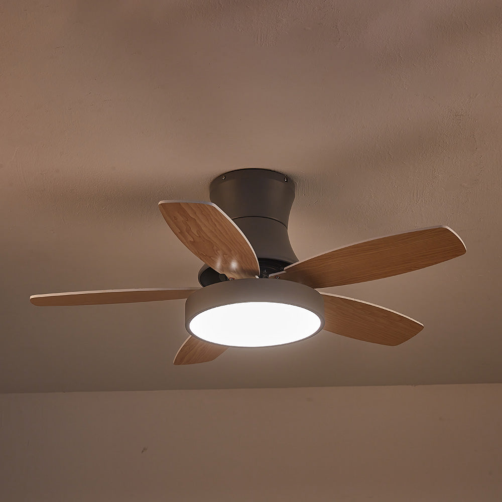 Acrylic Minimalism LED Bedroom Ceiling Fan With Light