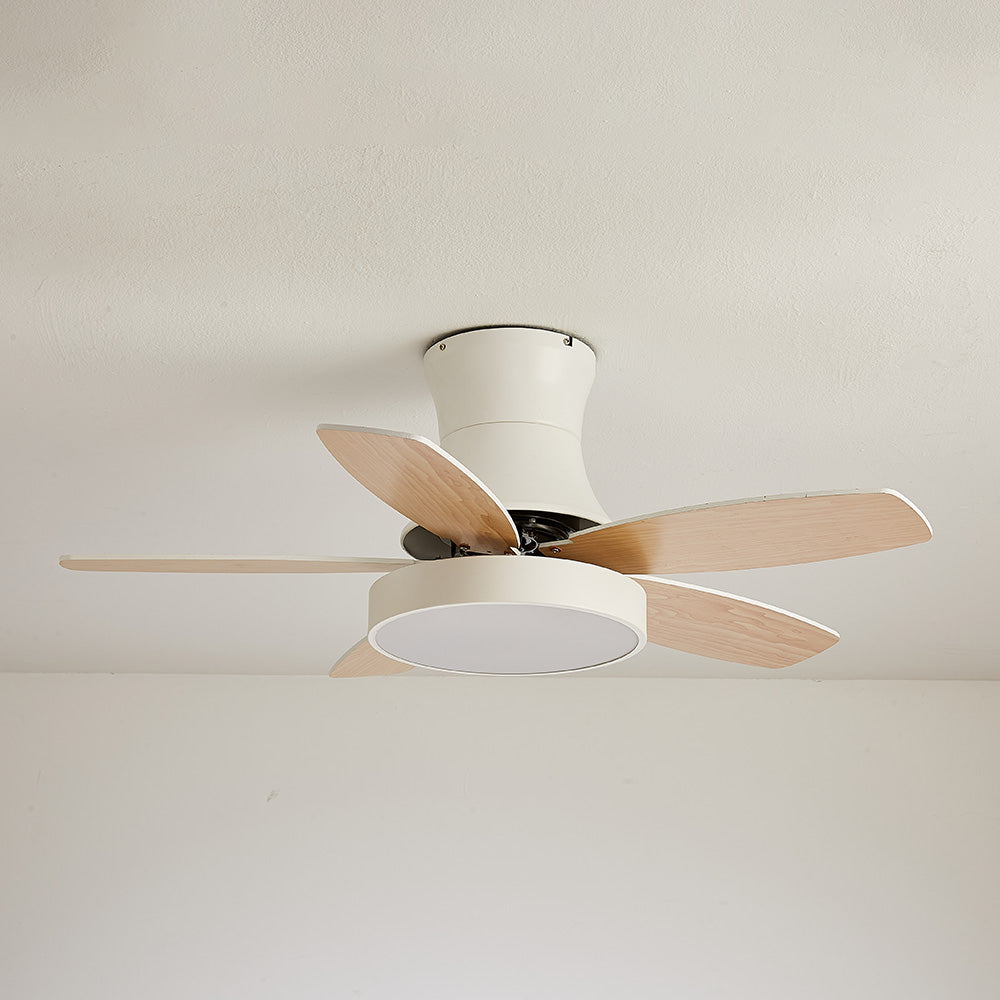 Acrylic Minimalism LED Bedroom Ceiling Fan With Light