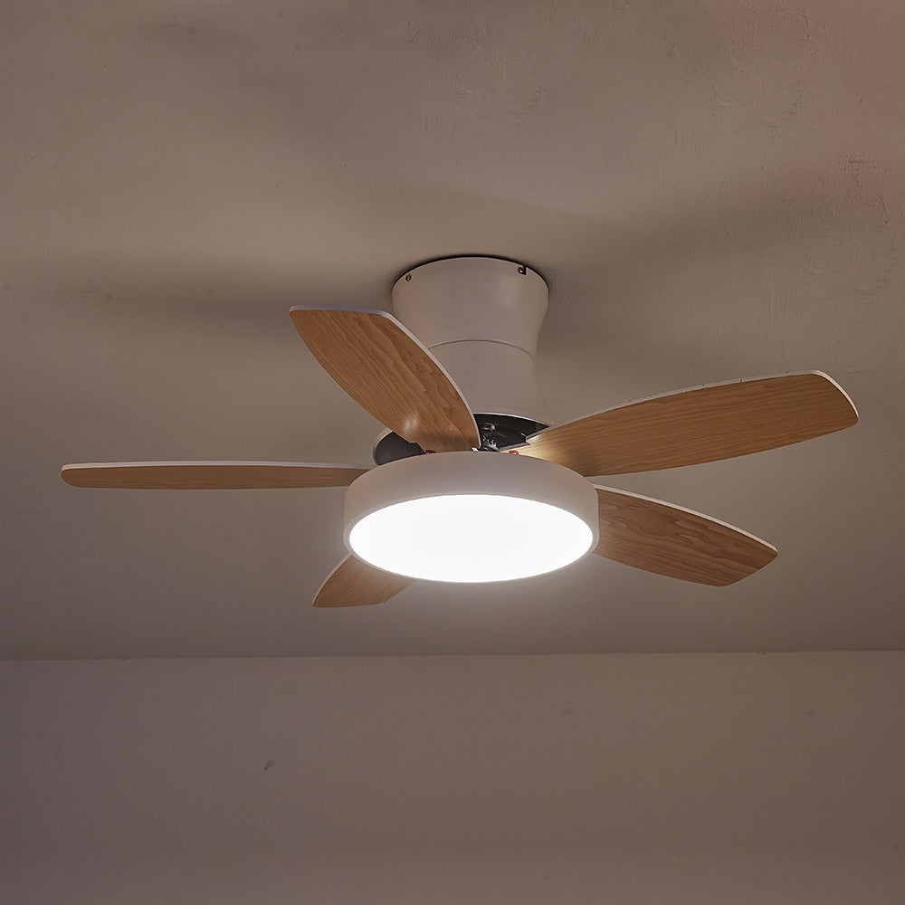 Acrylic Minimalism LED Bedroom Ceiling Fan With Light
