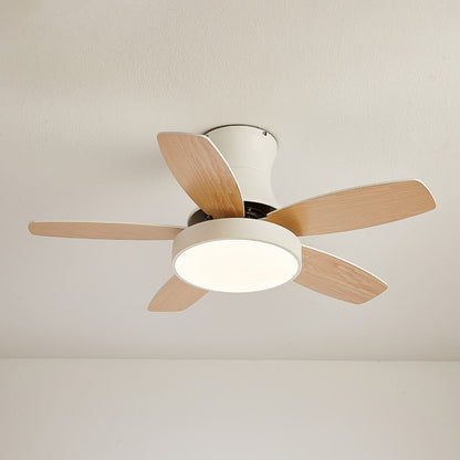 Acrylic Minimalism LED Bedroom Ceiling Fan With Light