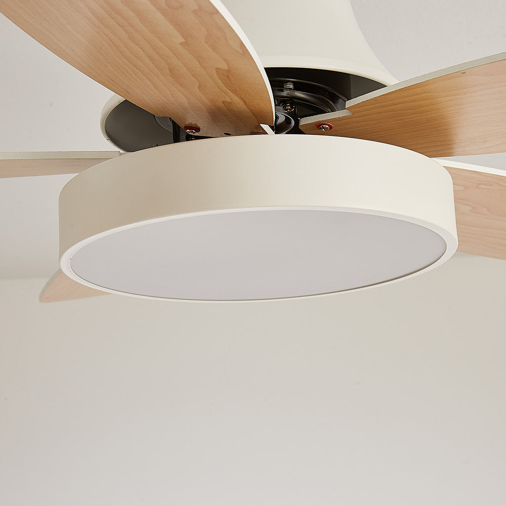 Acrylic Minimalism LED Bedroom Ceiling Fan With Light