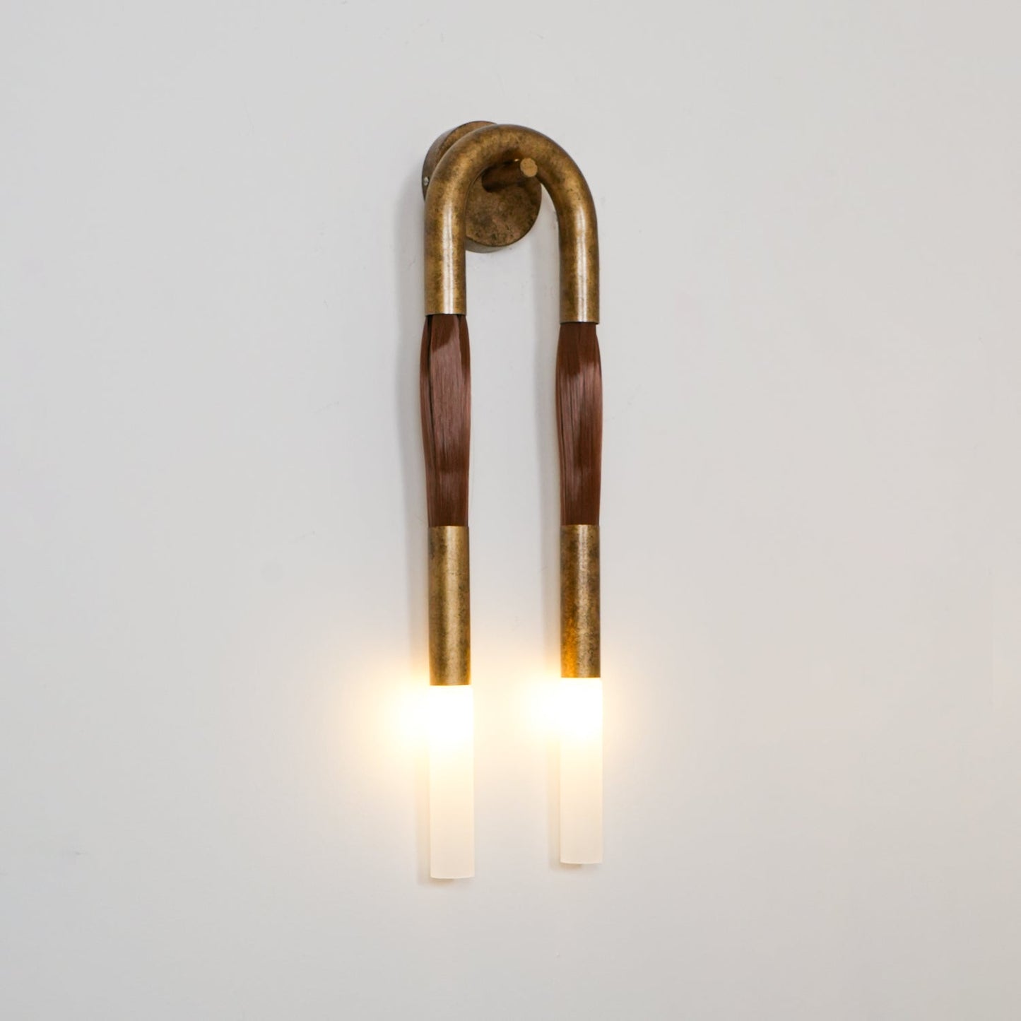 Horsehair Wandlamp – Elegante Wandverlichting met Kwast van Ijzer en Glas