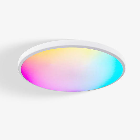Smart LED Ceiling Light with Remote Control and App Control