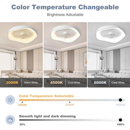 Modern Minimalism Iron White Design Ceiling Fan With Light